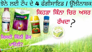 ਟੌਪ ਚਾਰ ਫੰਗੀਸਾਇਡ  Paddy Top 4 Fungicide Best Fungicide For Rice [upl. by Zilla270]