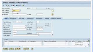 SAP SD Sales Order [upl. by Irollam]