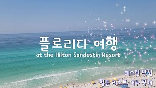 Destin Florida 데스틴 플로리다 여행 [upl. by Naoma]