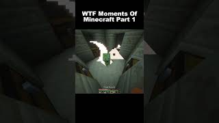 Minecraft WTF Moments Part 1 minecraft minecraftjokeshindi funny wtfmoment funnymoments lol [upl. by Adnohsar]