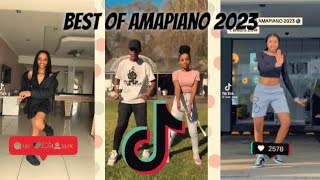 Best of TikTok amapiano dances 2023 [upl. by Rae]