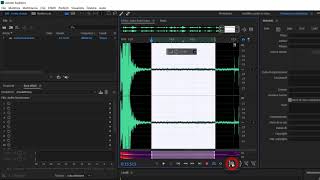 Come rimuovere il fruscio da un audio con Audition [upl. by Ecyla]