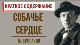 Собачье сердце Краткое содержание [upl. by Frohne]