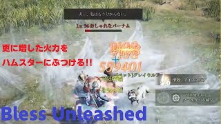 【Bless Unleashed】更に増した破壊力をおしゃれなバーナムにぶつける‼【ブレスアンリーシェド】【最新ＭＭＯ】フロストメイジLV39 [upl. by Eudoca]