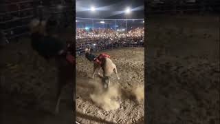 EL G63 VS CHAPARRO DE NAYARIT💥😱 jaripeo extremo [upl. by Hehre]