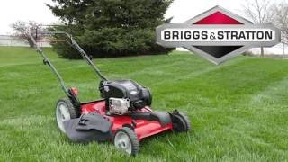 Where to Find Your Lawn Mower Engine Model Number [upl. by Agnew]