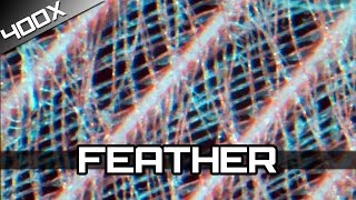 Magnified 400x  Feather [upl. by Eelhsa919]