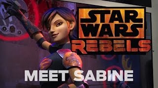 Meet Sabine the Explosive Artist  Star Wars Rebels [upl. by Nnylahs745]