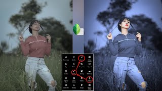 Snapseed 3 Tricks Blue Tone Photo Editing  Snapseed Se Photo Editing Kaise Kare [upl. by Wernda]