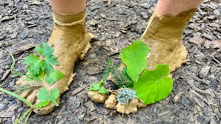 2023 Germany 🇩🇪  Barefoot🦶Park Barfuss Park [upl. by Belldame]