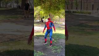 Estúpido y Sensual Spiderman humor spiderman memes funnyshorts comedia spidermanmemes risas [upl. by Harifaz193]