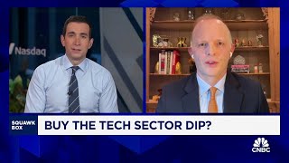 Neuberger Bermans Dan Flax on buying the tech sector dip [upl. by Akemrej]