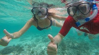 Snorkeling in SEYCHELLES  Mahe  Praslin  La Digue [upl. by Wager]