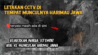 LETAKAN CCTV DI TEMPAT ADANYA HARIMAU JAWA [upl. by Singleton]