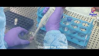 StepbyStep Tutorial Using the AXTEX4D™ Assay Ready Tissueoid Kit [upl. by Francisca]