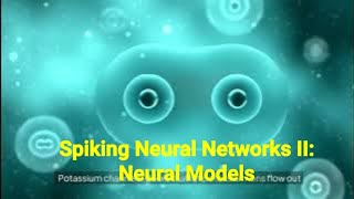 Spiking Neural Networks II Neural Models neuralnetworks [upl. by Adlig115]