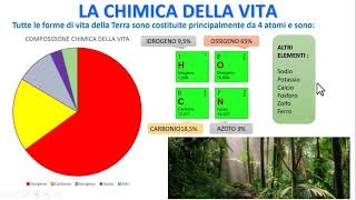 LA CHIMICA DELLA VITA [upl. by Eninnej]