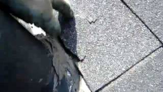 Toronto Roof Repair  Chimney Damage  Chimney Problems  Chimney Leak amp Repair [upl. by Allesiram247]