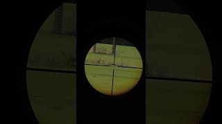 air rifle vs 250 yards longrange airrifle bbgun [upl. by Zonnya]