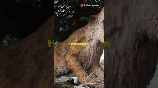 Hyaenodon The Mighty Prehistoric Predator facts wildlife animals [upl. by Ennairac768]