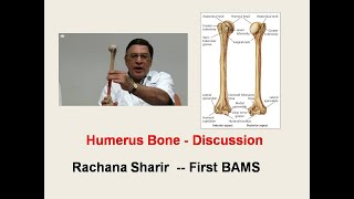 Humerus l Osteology l Human Anatomy l Rachana Sharir l First BAMS [upl. by Jourdain]