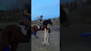 EVENING SHOWJUMPING horse show riding [upl. by Tarrance]