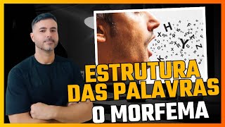 Estrutura das palavras os morfemas do português português morfema estruturadepalavras [upl. by Cacilie936]