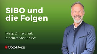 Die Konsequenzen einer gestörten Dünndarmflora  Mag Dr rer nat Markus Stark MSc  QS24 [upl. by Aihsenet698]