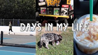 VLOG Pickleball Advent Calendar Hunting and New Chapters [upl. by Quirita]