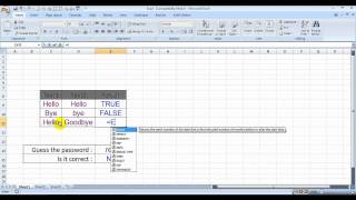 MS Excel  Exact Formula in Excel [upl. by Yeznil]