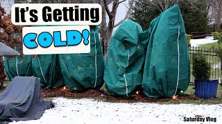 Protecting Plants From Cold  Saturday Vlog [upl. by Lihas]