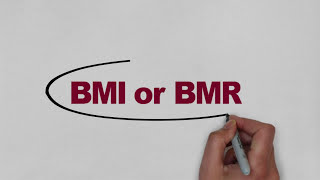 Quick and Easy way to calculate BMI and BMR  TOTAL CALORIE INTAKE  Hindi [upl. by Mccurdy]