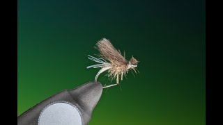 Fly Tying a Caddis Emerger with Barry Ord Clarke [upl. by Lliw638]