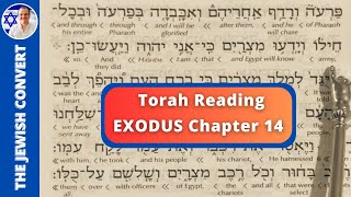 Exodus Chapter 14  Torah Reading in Hebrew with English Translation  TORAH STUDY [upl. by Elauqsap]