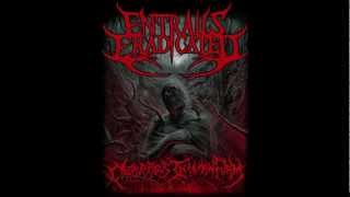 ENTRAILS ERADICATED  Cadaverous Inhuman Form  Lyric Video [upl. by Nyad]