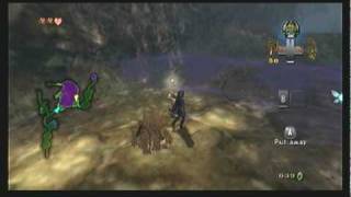 Legend of Zelda Twilight Princess Walkthrough 03 33 quotFaron Woods To The Forest Templequot [upl. by Aisinut218]