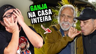 RODOU FEIO Cheech e Chong a origem da comédia de chapado CARBUROGRAFIA [upl. by Eihcir]