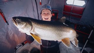 How to Ice Fish for Lake Trout with Bait RodsReelsLineRigging [upl. by Abad430]