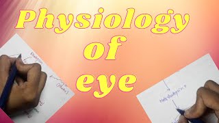 Physiology of eyeall about physiology of eyeall about eyeexplain physiology of eyeexplain eye [upl. by Pacifa]