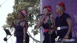 Gator By The Bay Music Festival Featuring Sue Palmer and the Rhythm Riveters [upl. by Suzzy]