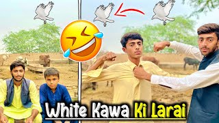 Do Dosto Ke Darmyan Sufaid Kaway Li Larai Ho Gayi Very Funny Video  Comedy Funny Video [upl. by Assirral]