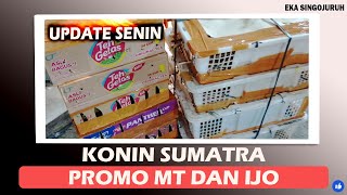 PROMO KONIN METALIK TROTOL DAN IJOAN [upl. by Aydiv]