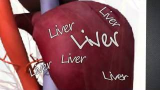 01PPI I HATE LIVER [upl. by Troyes]