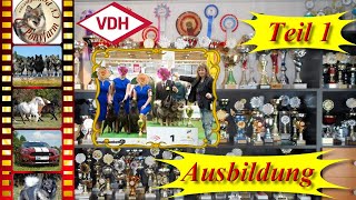 Hundeausstellung 16  Ringtraining für die Show  1 Lektionen  Hund erfolgreich ausstellen  Tips [upl. by Etnoel]