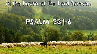 OUR DAILY MANNA the bread of Heaven Psalm 23 Jesuschrist [upl. by Mandel]