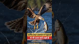 Speed Of Eagle  Eagle  Eagle speed utubeshorts ytyutube fact utube video hindifact बाज़ [upl. by Lipp]