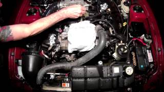 Engine Bay Cleaning 2004 Mustang GT [upl. by Stelmach]