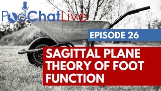 PodChatLive Episode 26 with Howard Dananberg Sagittal Plane Theory [upl. by Llennoc]