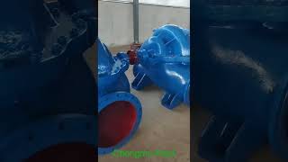 Horizontal double suction pumps waterpump machine pumpsolutions [upl. by Neely569]