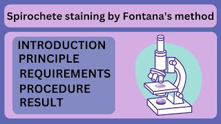 Spirochete staining by Fontanas method  microbiology  LIFESCIENCE LEARNER [upl. by Lisandra16]